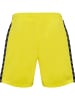 Hummel Hummel Kurze Hose Hmlauthentic Multisport Herren Atmungsaktiv Schnelltrocknend in BLAZING YELLOW