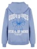 Mister Tee Sweat & Fleece - Hoodies in powderblue