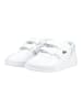 Lacoste Sneaker T-CLIP SET in Weiß Kombi