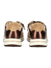 ara Sneaker in Bronze
