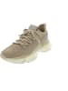 Steve Madden Maxilla-R Sneaker Beige