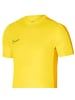 Nike Nike DF Academy Tee in Gelb