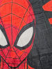 Spiderman Marvel Spiderman Strandtuch Badetuch Handtuch 120 x 60 cm in rot/schwarz