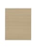 Lichtblick Plissee, Faltrollo in Beige