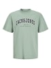 JACK & JONES Junior T-Shirt JJECALEB VARSITY TEE O-NECK JNR in iceberg green