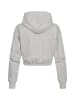 Champion Champion Kapuzenpullover in grey