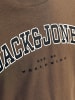JACK & JONES Junior T-Shirt JJECALEB VARSITY TEE O-NECK JNR in canteen