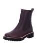 Paul Green Damen Winterschuhe warm 0078-8270-048/Chelsea-Boots in Braun