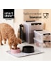 SmartStore 2er-Set Aufbewahrungsbox Classic Transparent 14L