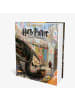 Carlsen Harry Potter und der Feuerkelch (farbig illustrierte Schmuckausgabe) (Harry...