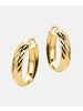 Vanlere Creolen aus 375 Gelbgold