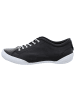 Andrea Conti SHOES Schnürschuhe in schwarz