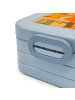 Mr. & Mrs. Panda Lunchbox Fuchs Lord Design mit Spruch in Blau Pastell