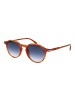 David Beckham Männer Sonnenbrille Panto Braun