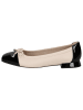 Caprice Ballerina in CREAM COMB