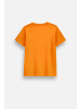 Coccodrillo Baumwoll-T-Shirt mit kurzen Ärmeln Halloween in orange