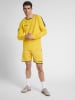 Hummel Hummel Sweatshirt Hmlauthentic Multisport Herren in SPORTS YELLOW