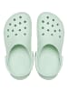 Crocs Classic in Hellgrün224