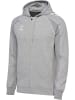 Hummel Reißverschluss Kapuzenpullover Hmlmove Herren in GREY MELANGE