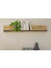 Furn.Design Aktenregal grau matt, Eiche Wotan 100 cm, Wandregal für Homeoffice und Büro