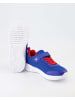 Geox Klettschuhe in Blau
