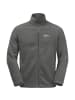 Jack Wolfskin WINTERSTEIN FZ M in Grau0699