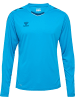 Hummel Hummel T-Shirt Hmlcore Multisport Erwachsene Atmungsaktiv Schnelltrocknend in BLUE DANUBE