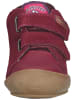 Naturino Sneaker in Bordeaux