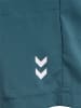 Hummel Kurze Hose Hmlpulse Herren in STARGAZER