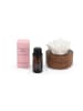 Laura Ashley Duftblumen Laura Ashley - Sandalwood & Sage