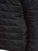 Hummel Jacke Hmlgo Quilted Hood Jacket in BLACK