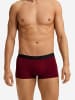 Hanro Pants Micro Touch in Cabernet