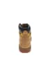 Caterpillar Stiefeletten in Beige