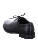 ara Business Schnürschuhe in Schwarz