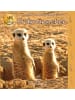 Fischer-Nagel Buch - Erdmännchen