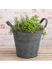 AltoBelli Blumentopf SECCHIO Metall Eimer mit 2 Henkeln 15x16 cm