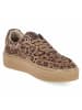 Palado Plateau Sneaker in braun