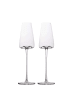 Intirilife Champagner Glas Set Sekt Prosecco in 2x 220 ml Transparent