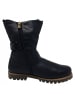 Andrea Conti SHOES Stiefel  in Schwarz