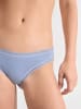 Sloggi Minislip Blue GO Crush 3er-Pack in MULTIPLE COLOURS 3