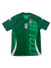 adidas Shirt Figc Pre Match Italia in Grün