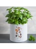 Mr. & Mrs. Panda Blumentopf Kuh ohne Spruch in Weiß