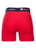 Champion Boxershort 4er Pack in Marine/Rot