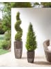Beliani 2er-Set Outdoor Blumentopf CHELONE in Braun