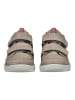 PEPINO Halbschuhe KITO Grau/Rosa