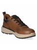 Bugatti Schnürhalbschuh in brown