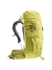 Deuter Climber 22 Kids - Wanderrucksack 50 cm in sprout-linden