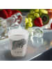 Mr. & Mrs. Panda Schnapsglas Seekuh Chillen ohne Spruch in Transparent