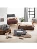 Homea Hundebett in grau