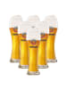 Ritzenhoff & Breker 6er Set Weizenbiergläser Erdinger 500 ml transparent in transparent